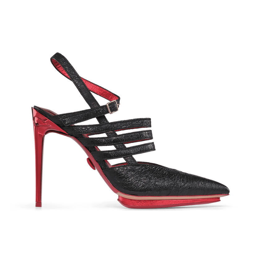 Bird of Paradise Terenz Nero