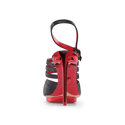 Bird of Paradise Terenz Nero